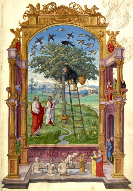 Splendor Solis Plate 6 - The Golden Tree with Birds