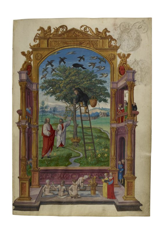 Splendor Solis Plate VI — The Philosophical Tree (Chesed)