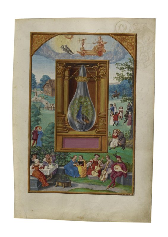 Splendor Solis Plate XVI — The Peacock's Tail (Netzach)